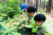 영덕국유림관리소, 산림교육 운영사업 착수보고회 개최