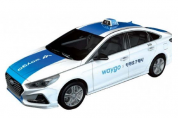 플랫폼 택시의 첫 번째 모델, 타고솔루션즈의 웨이고 블루·레이디 출시
